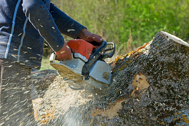 Best Lawn Mowing  in Ellerslie, GA
